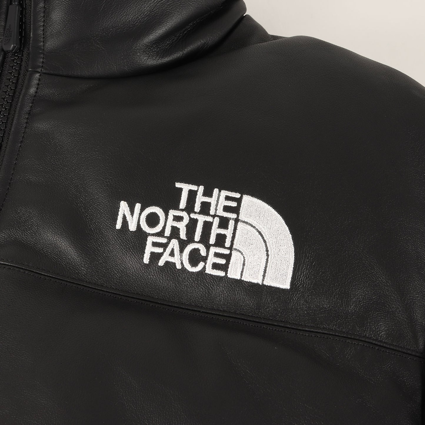 ×THE NORTH FACE シープスキンレザー ヌプシ ダウンジャケット(Leather Nuptse Jacket)