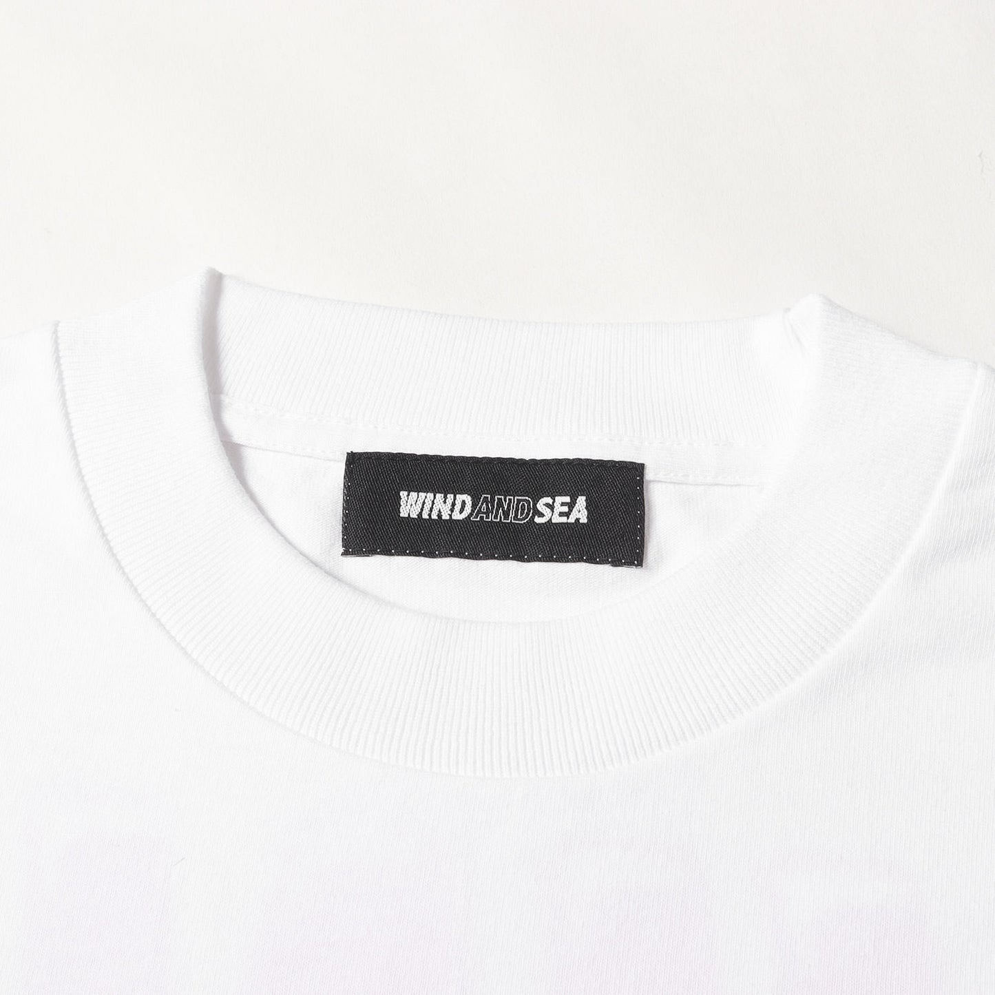 25SS ×The Rolling Stones リップ&タン ヘビー Tシャツ(WDS S/S Tee)