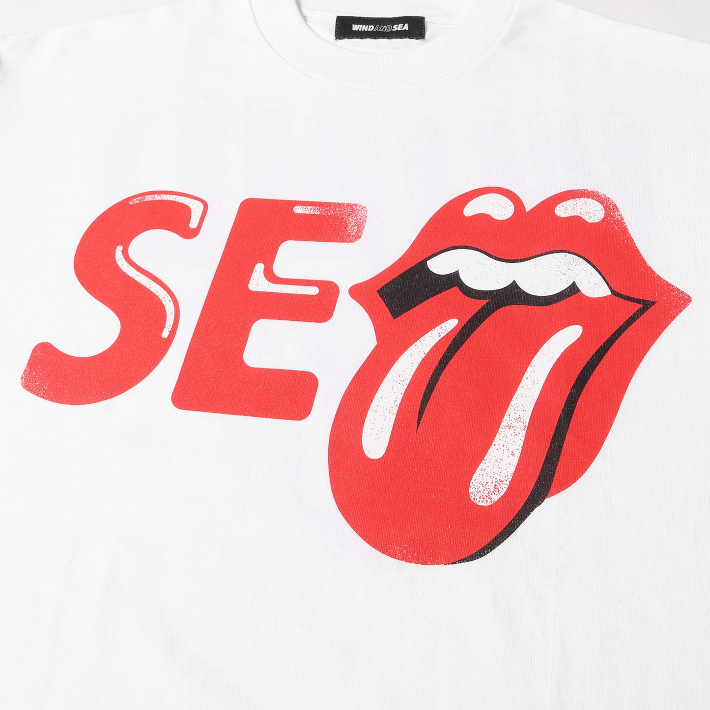25SS ×The Rolling Stones リップ&タン ヘビー Tシャツ(WDS S/S Tee)