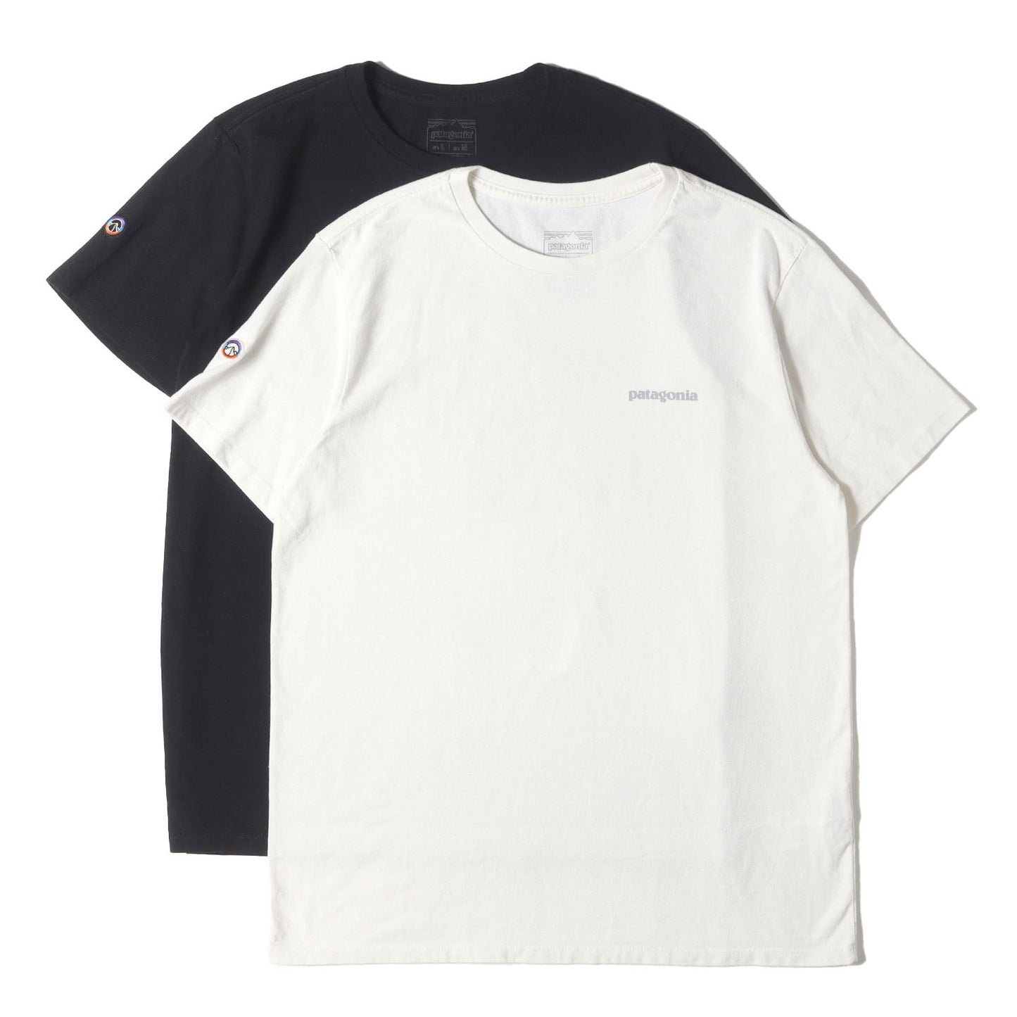 25SS フィッツロイ アイコン レスポンシビリティー Tシャツ 2色セット(Fitz Roy Icon Responsibili Tee)
