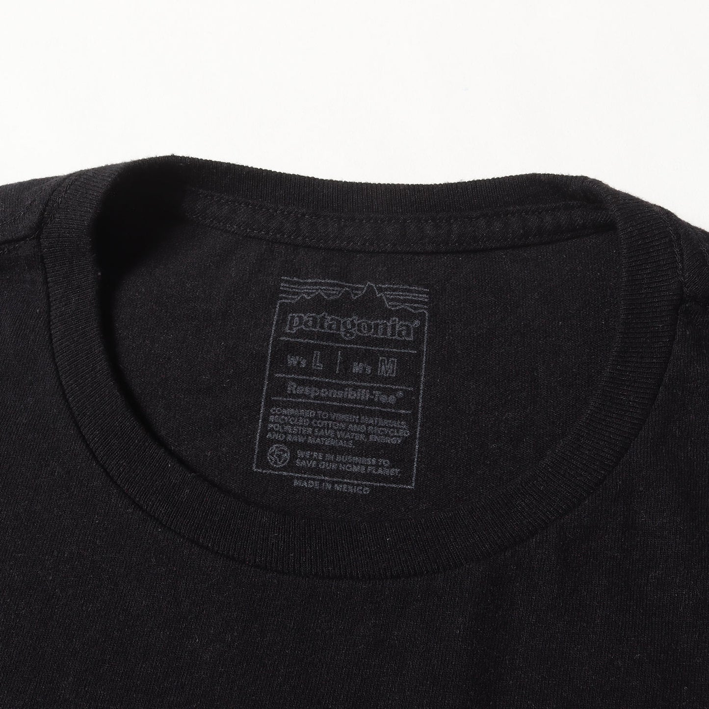 25SS フィッツロイ アイコン レスポンシビリティー Tシャツ 2色セット(Fitz Roy Icon Responsibili Tee)