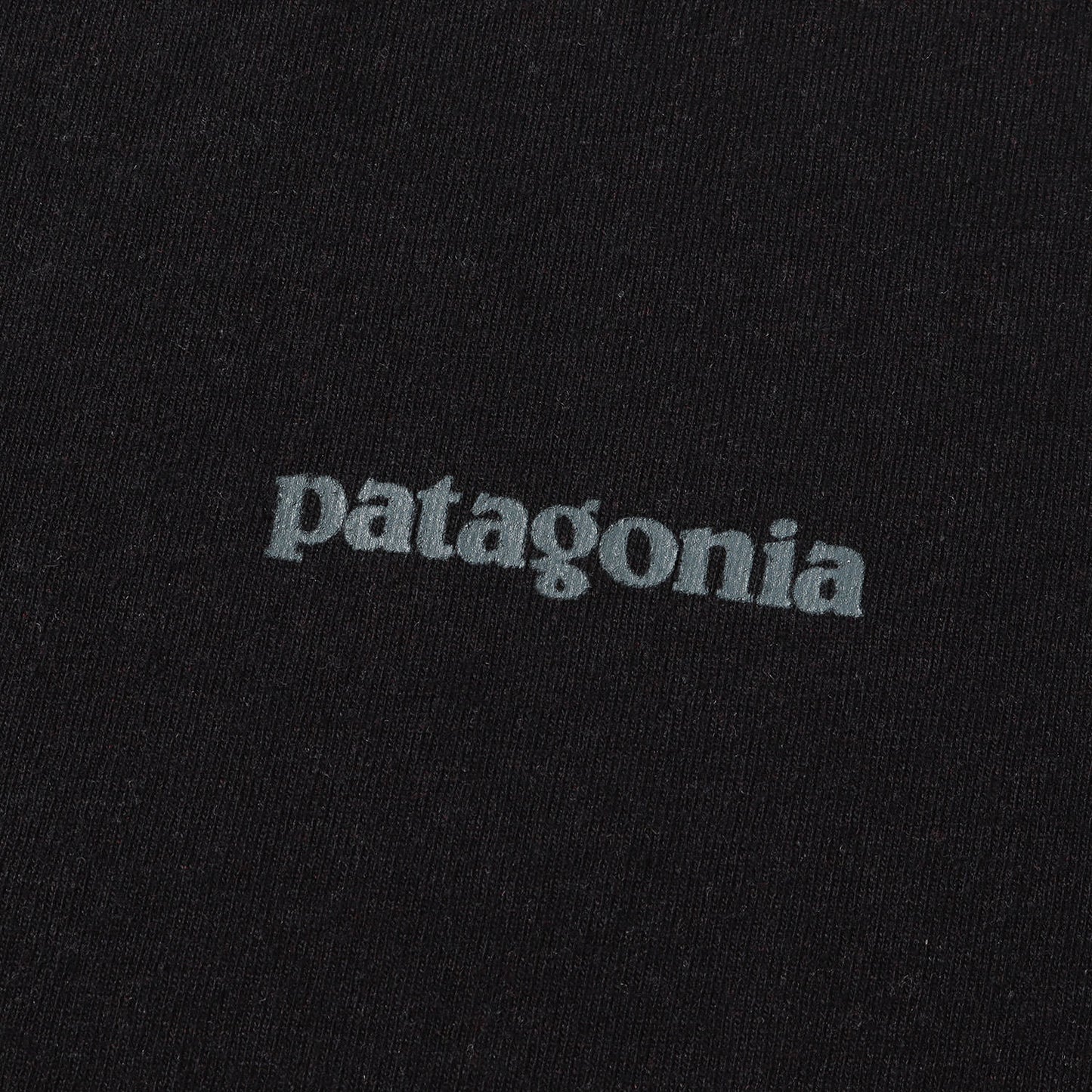 25SS フィッツロイ アイコン レスポンシビリティー Tシャツ 2色セット(Fitz Roy Icon Responsibili Tee)