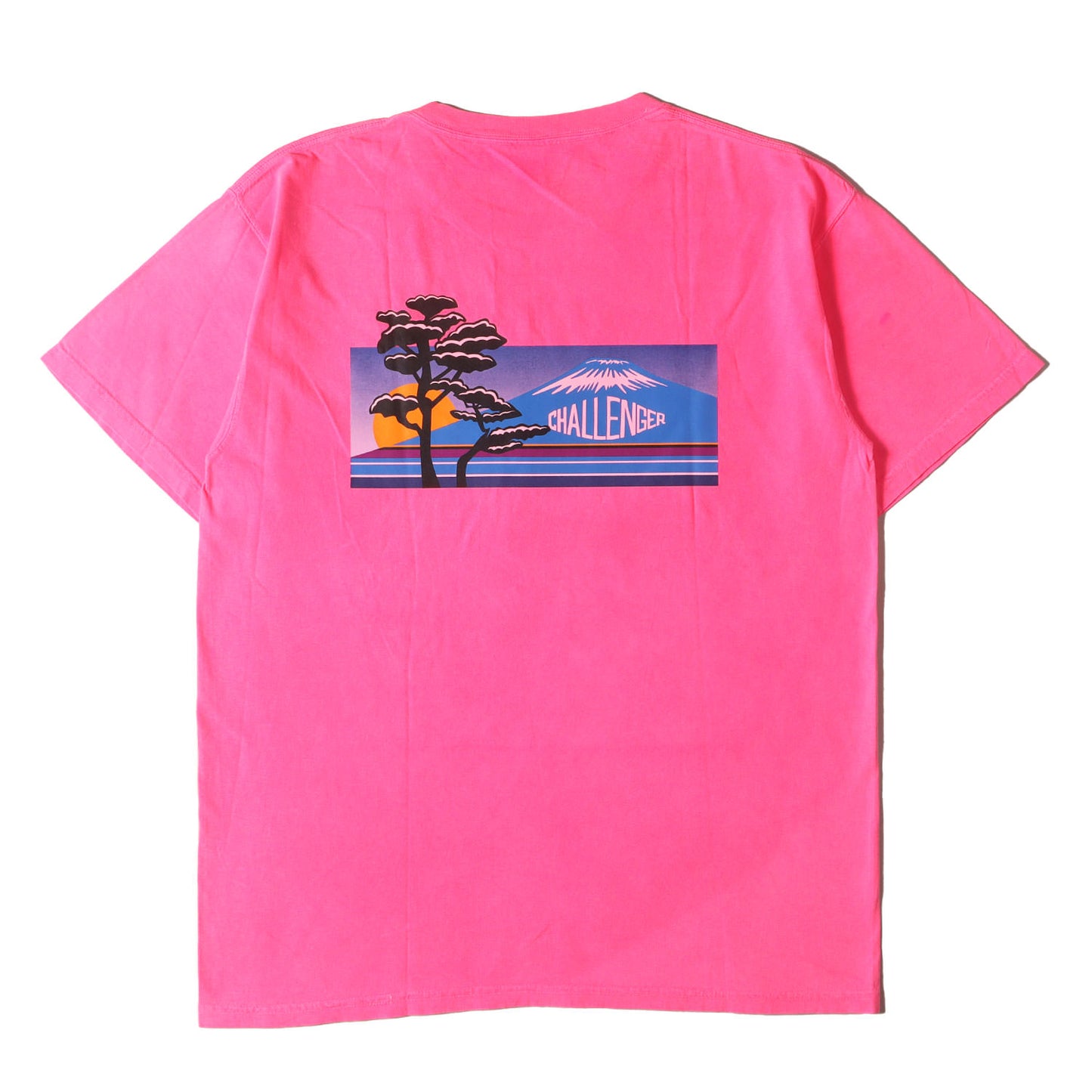 20SS 和風グラフィック 後染め Tシャツ(NATURE JPN TEE)