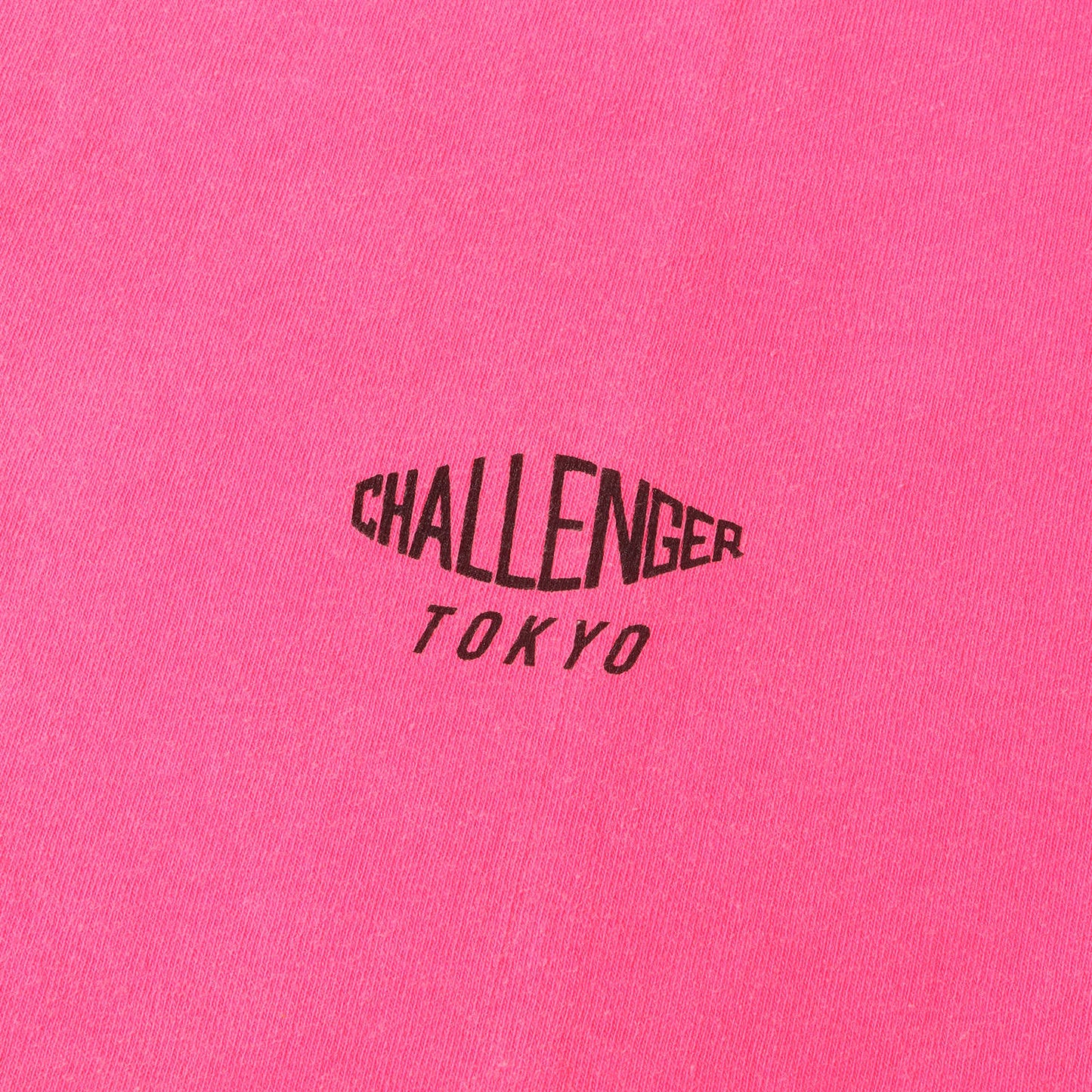 20SS 和風グラフィック 後染め Tシャツ(NATURE JPN TEE)