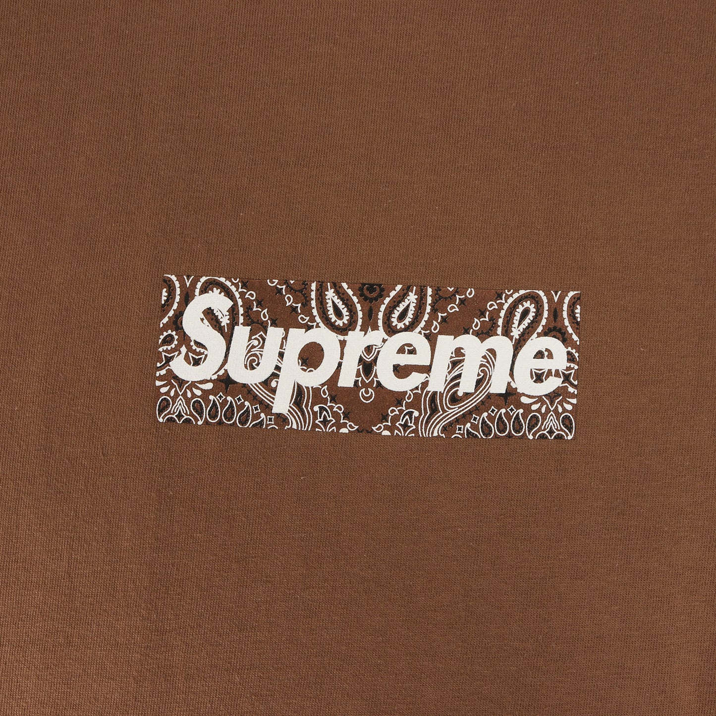 バンダナ BOXロゴ Tシャツ(Bandana Box Logo Tee)