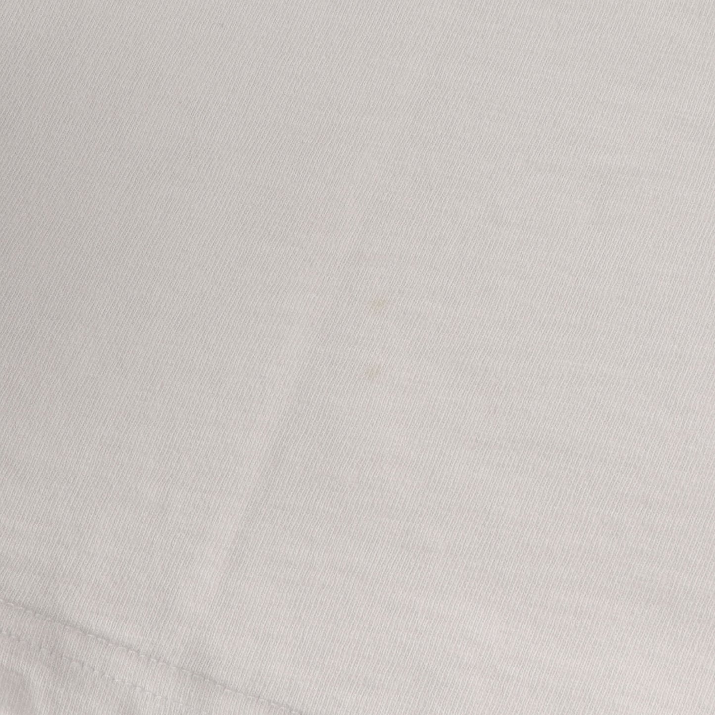 23AW カレッジ アップリケロゴ ヘビー Tシャツ (Collegiate S/S Top)