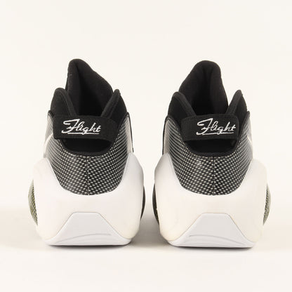 AIR ZOOM FLIGHT 95 BLACK METALLIC (806404-001 / 2015年製)