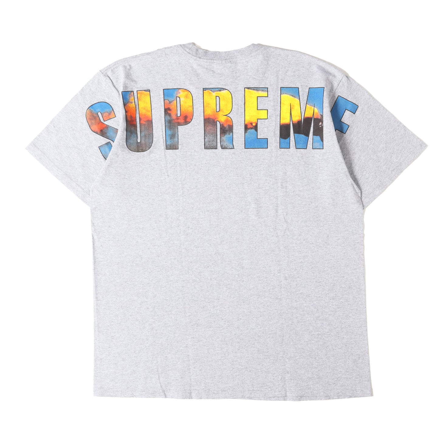 フォト柄 ブランドロゴ Tシャツ(Crash Tee)