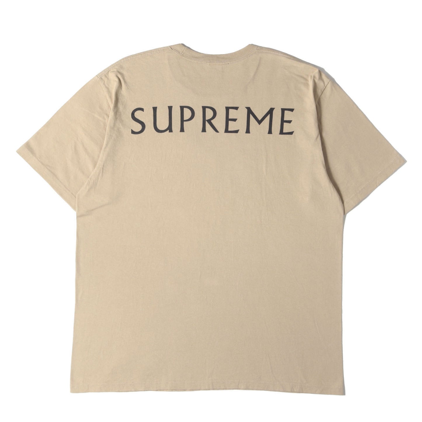 25SS ×Damien Hirst ブラックシープ Tシャツ(Tee)