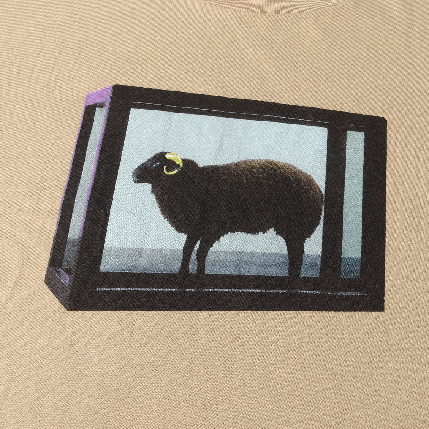 25SS ×Damien Hirst ブラックシープ Tシャツ(Tee)