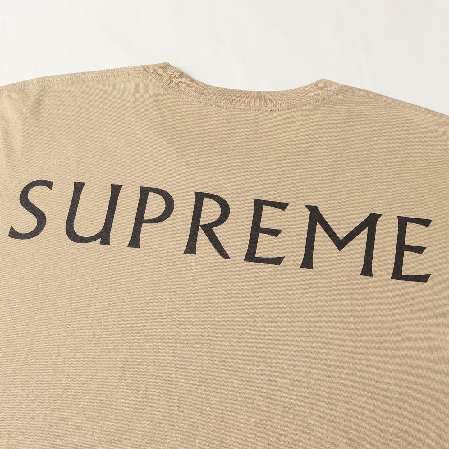 25SS ×Damien Hirst ブラックシープ Tシャツ(Tee)