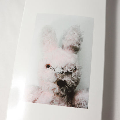 ×Mike Kelley スケボーデッキ(AhhYouth! Skateboard Deck)