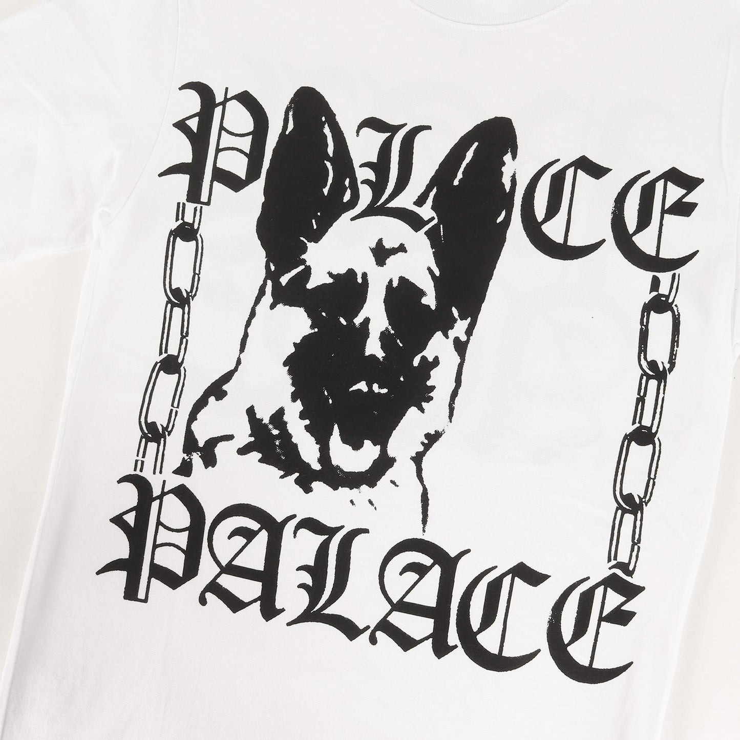 ドッグ グラフィック Tシャツ
