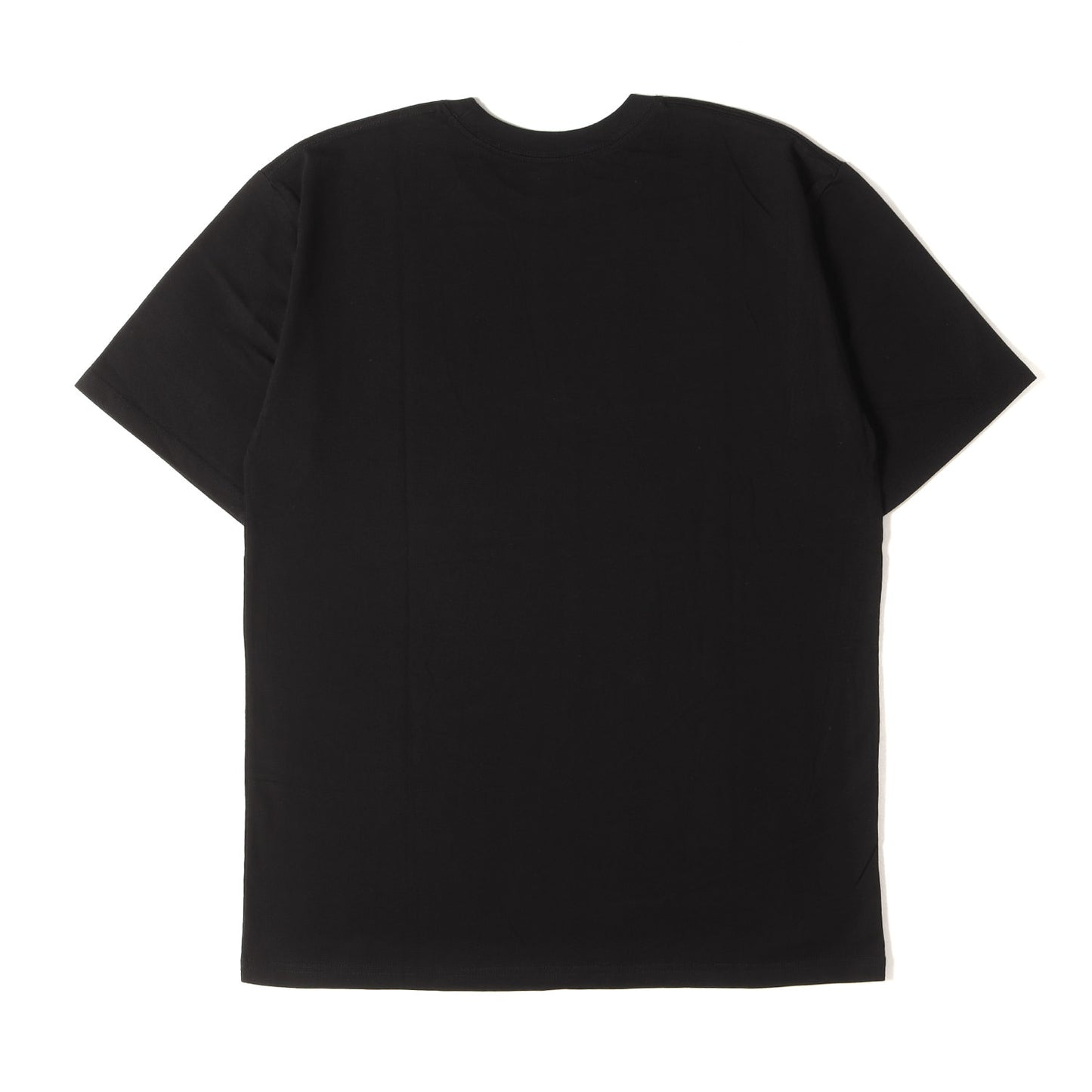 22SS ブランドロゴ クルーネック Tシャツ(VISUAL UPARMORED)