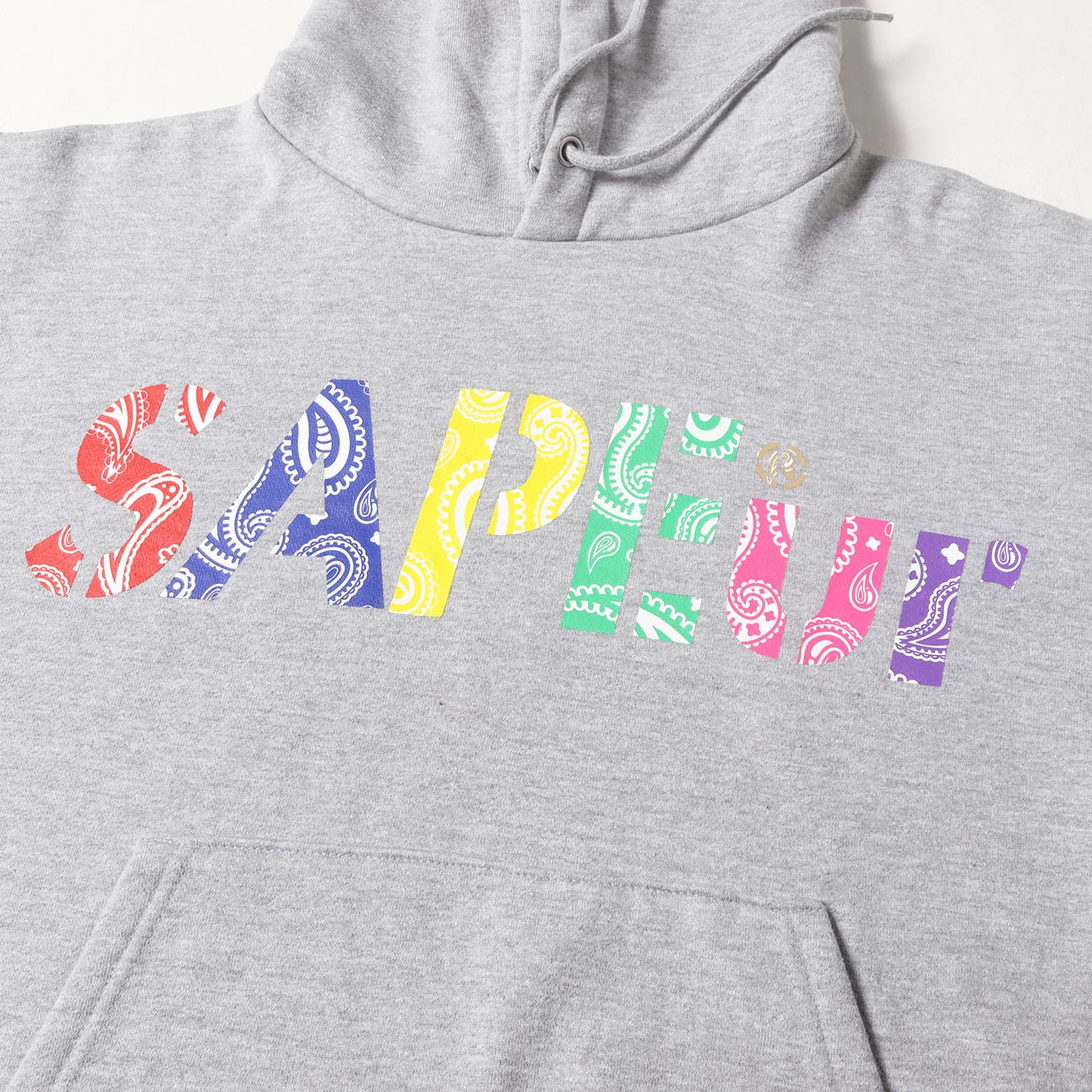 マルチ バンダナロゴ スウェットパーカー(MULTI BANDANA LOGO HOODIE)