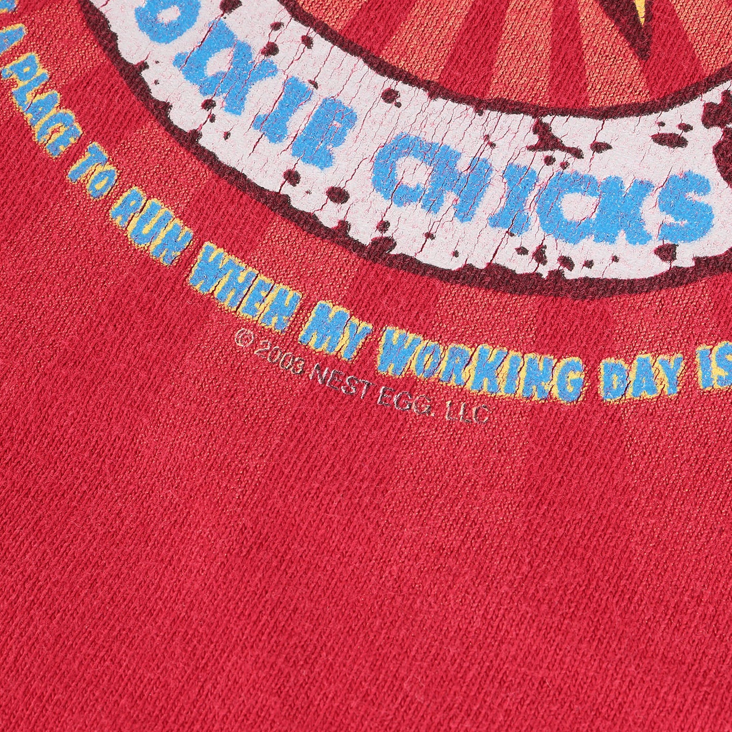 00s Dixie Chicks Top of the World Tour ディクシー・チックス Tシャツ / USA製 giant