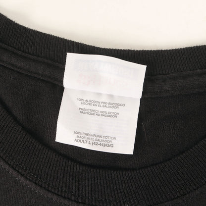 [GOODコンディション] 00s Red Hot Chili Peppers レッド・ホット・チリ・ペッパーズ Tシャツ / サルヴァドール製 Hanes