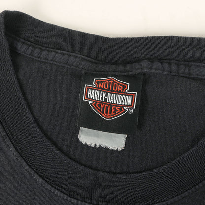 [GOODフェード] 00s ピンナップガール フレイム エンブレム ロゴ Tシャツ
