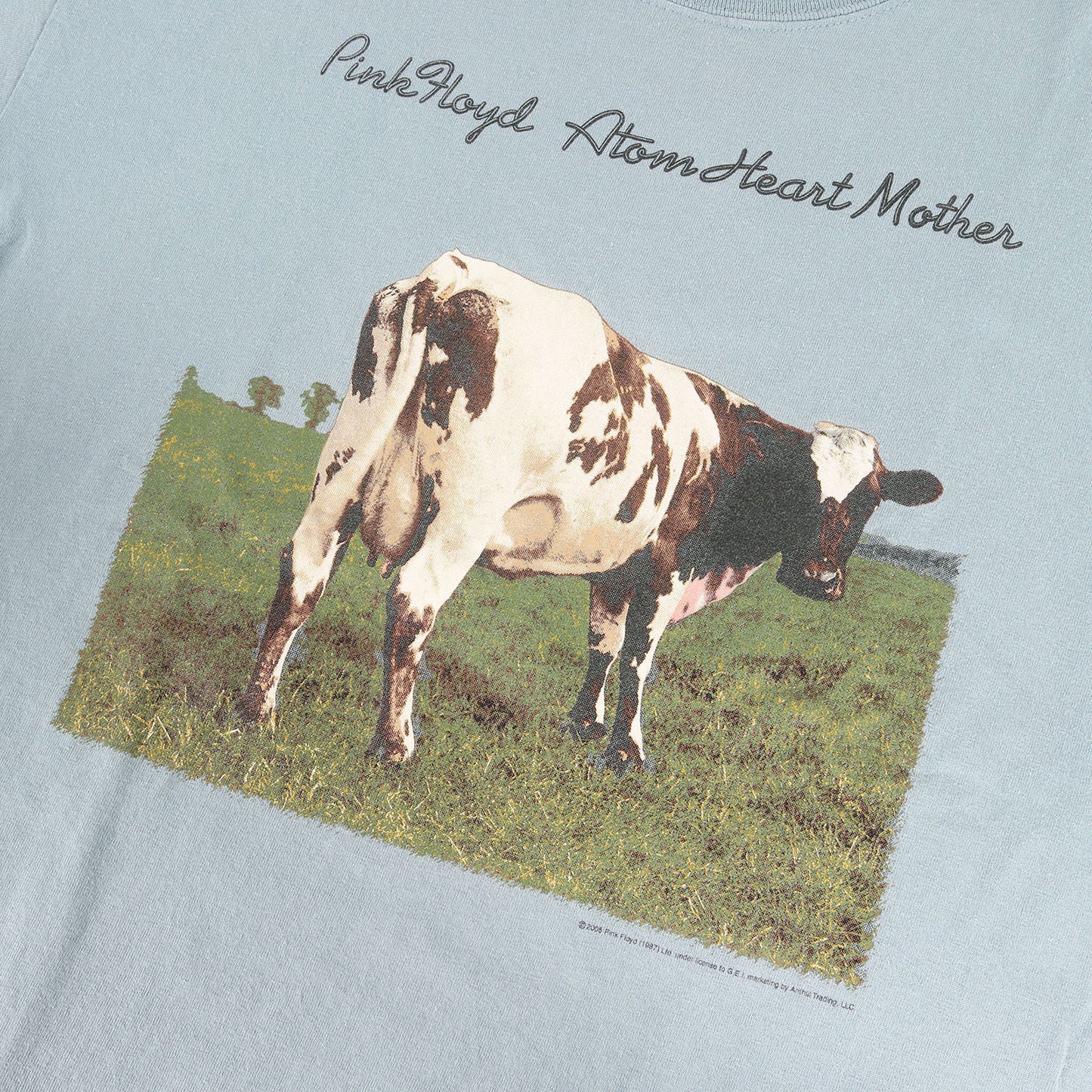 00s Pink Floyd Atom Heart Mother ピンク・フロイド 原子心母 ヒプノシス Tシャツ / GILDAN