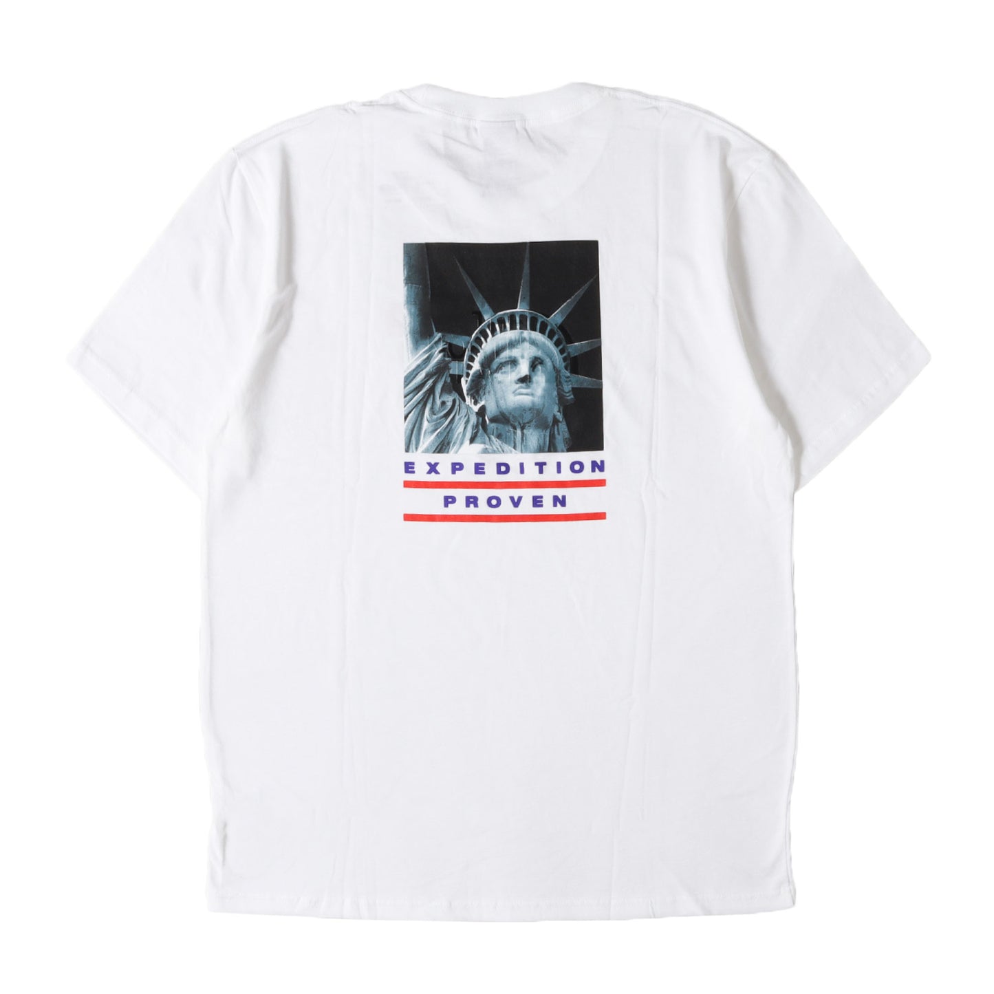 ×THE NORTH FACE 自由の女神 Tシャツ(Statue of Liberty Tee)