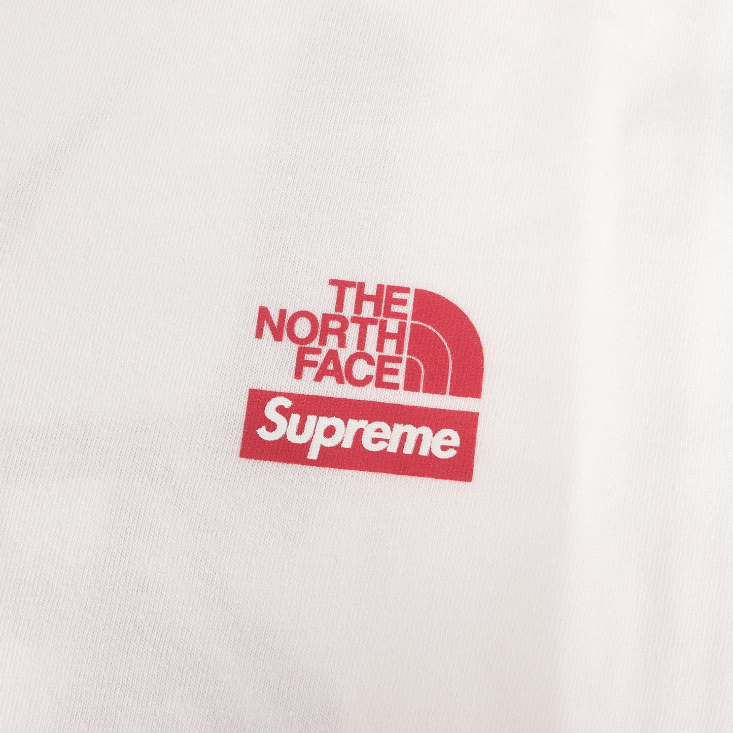 ×THE NORTH FACE 自由の女神 Tシャツ(Statue of Liberty Tee)