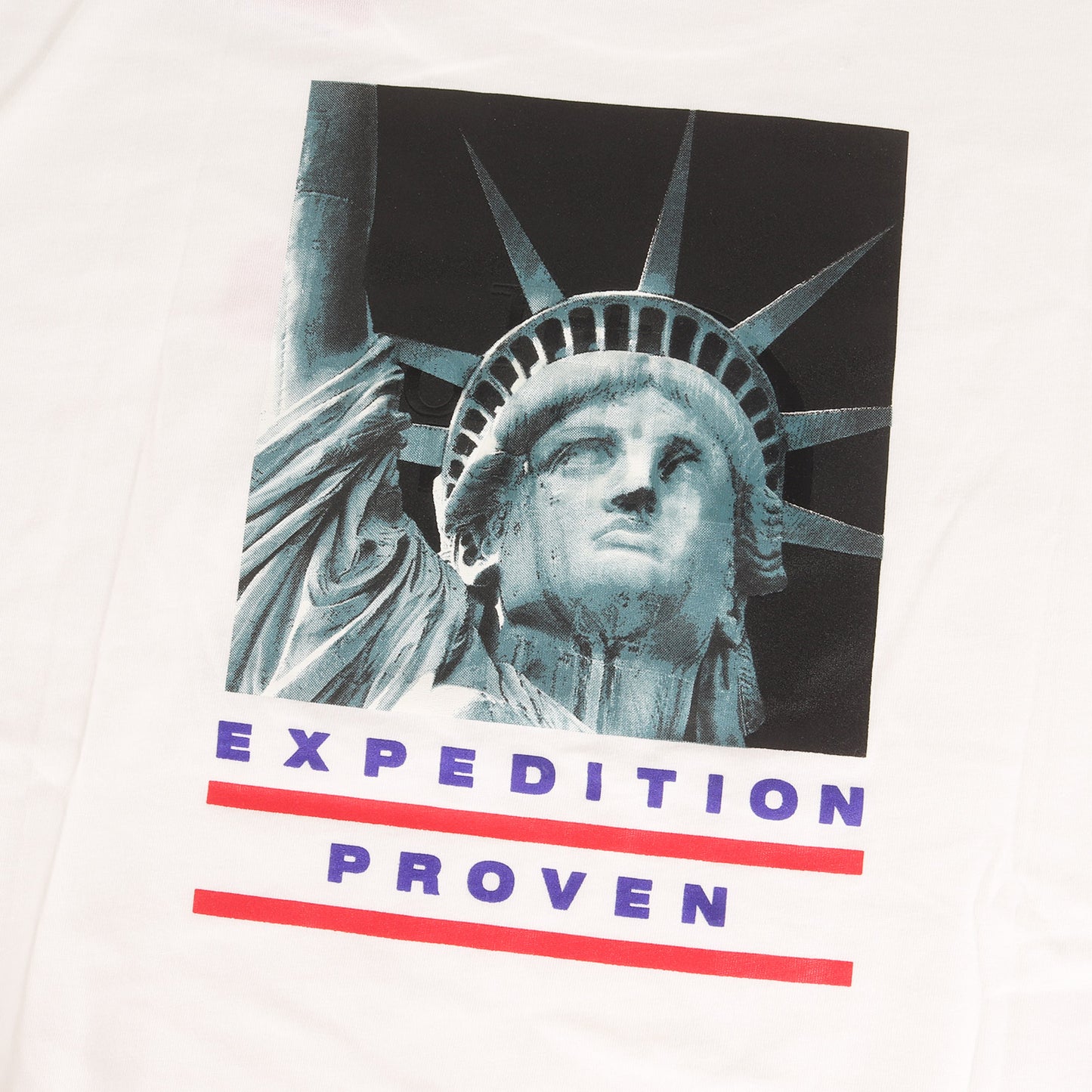 ×THE NORTH FACE 自由の女神 Tシャツ(Statue of Liberty Tee)