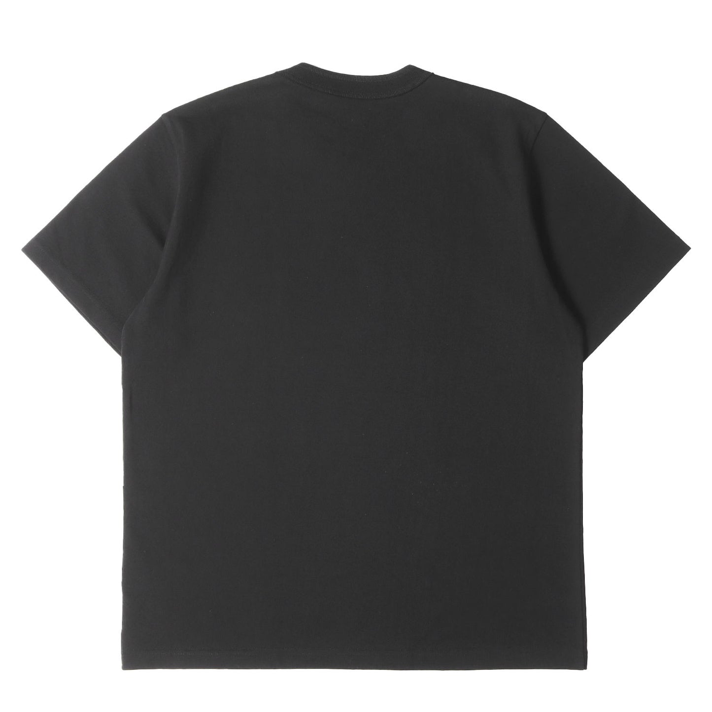 24AW ×Sacai フロッキープリント ヘビー Tシャツ(Flock Print T-Shirt / SS / COTTON. SACAI)