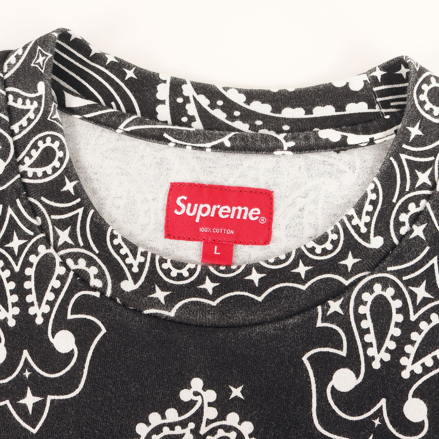 21SS バンダナ柄 スモールBOXロゴ Tシャツ(Small Box Tee)
