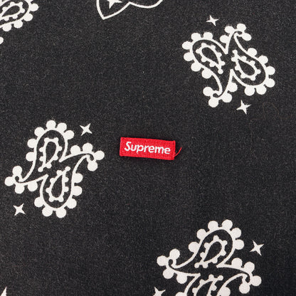 21SS バンダナ柄 スモールBOXロゴ Tシャツ(Small Box Tee)