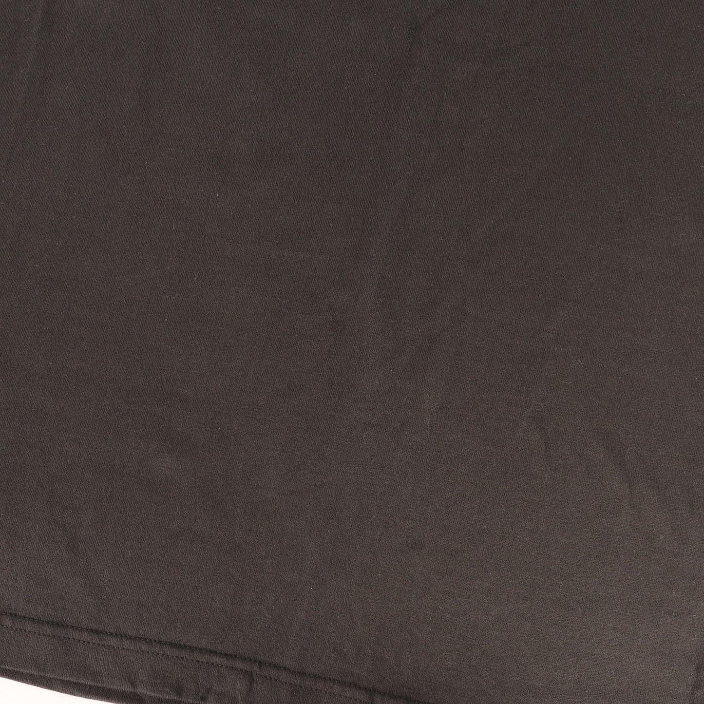 GIZ柄プリント スコーピオン Tシャツ