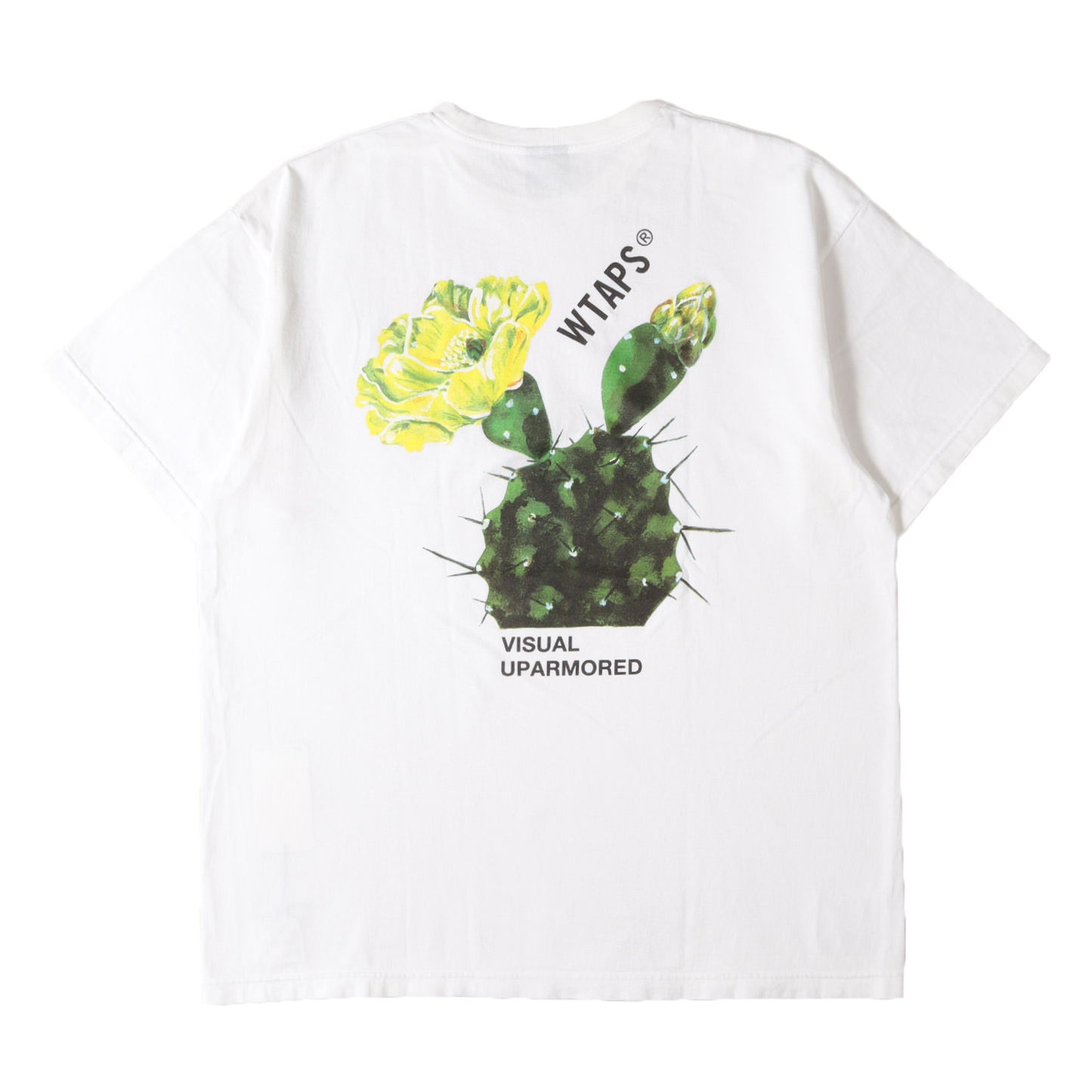 24SS サボテン グラフィック Tシャツ(CACTO / SS / COTTON)