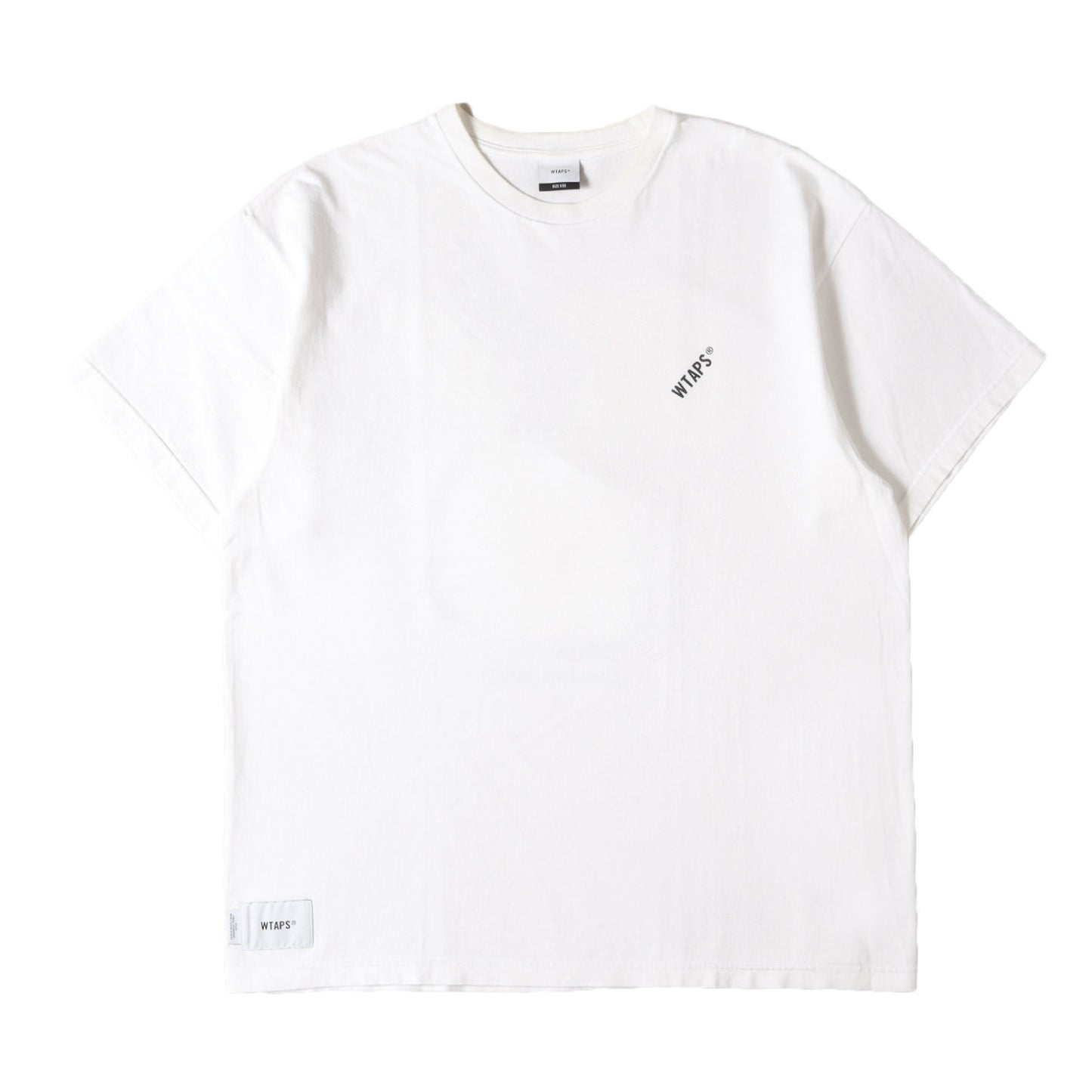 24SS サボテン グラフィック Tシャツ(CACTO / SS / COTTON)