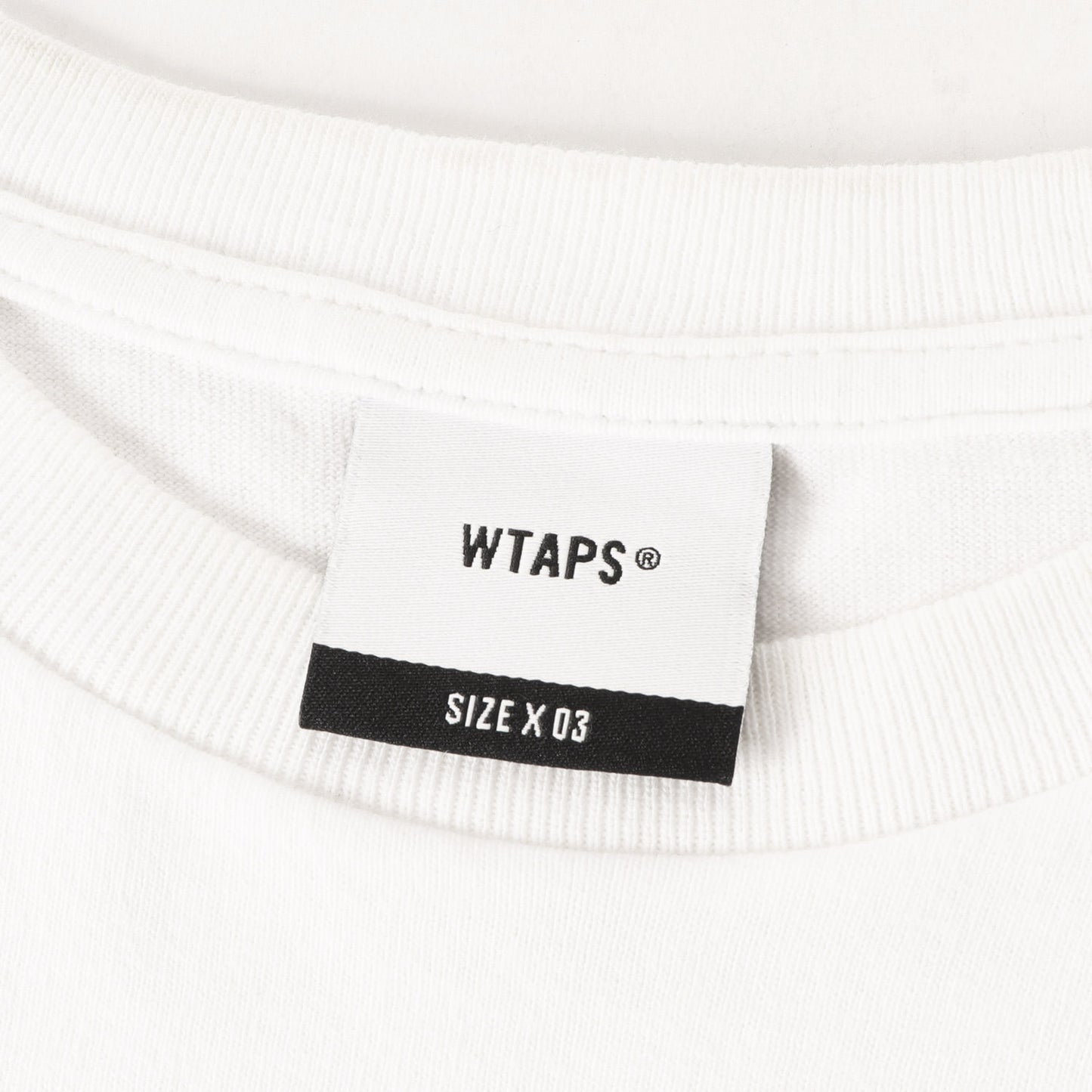 24SS サボテン グラフィック Tシャツ(CACTO / SS / COTTON)