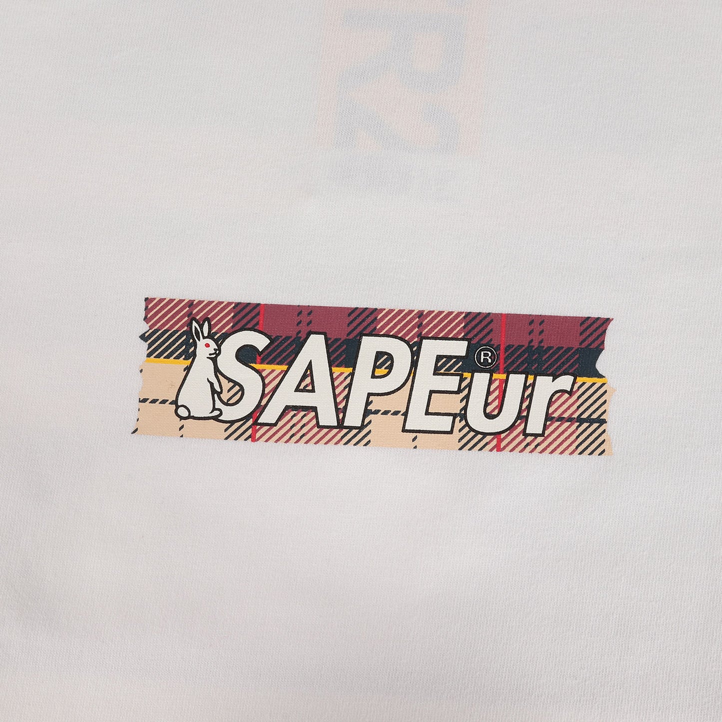 22AW ×FR2 チェック ロッドマン ロングスリーブ Tシャツ