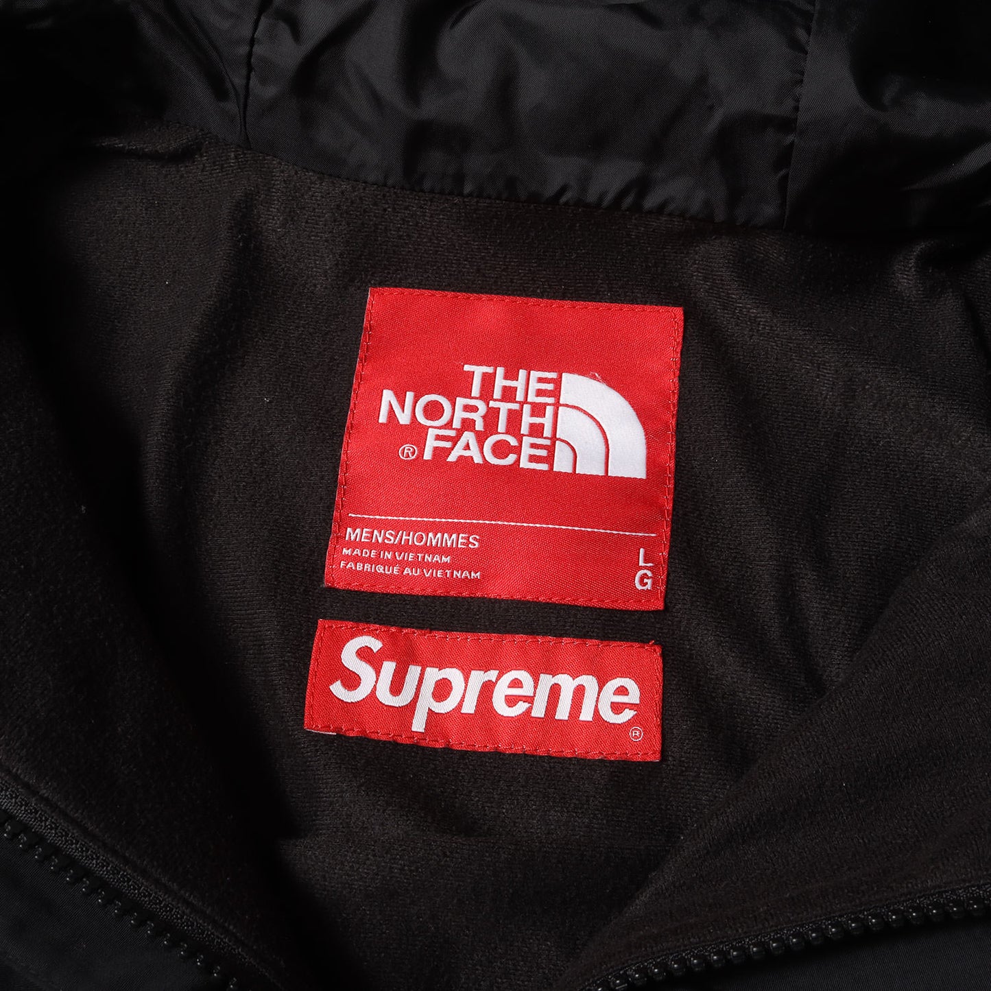 ×THE NORTH FACE GORE-TEX アーチロゴ マウンテンパーカー(Arc Logo Mountain Parka)