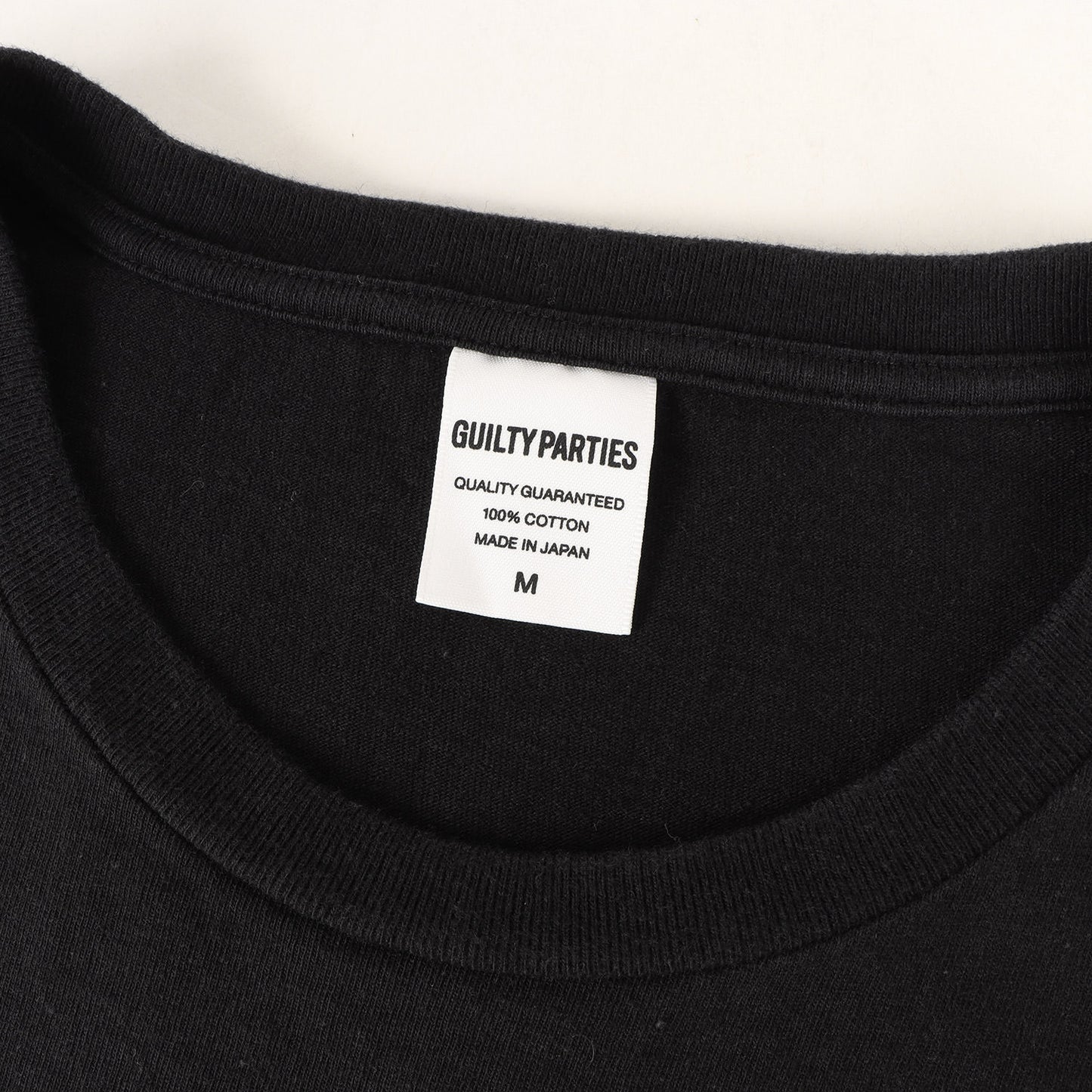 24SS ブランドロゴ刺繍 ヘビーウェイト Tシャツ(WASHED HEAVY WEIGHT CREW NECK T-SHIRT)