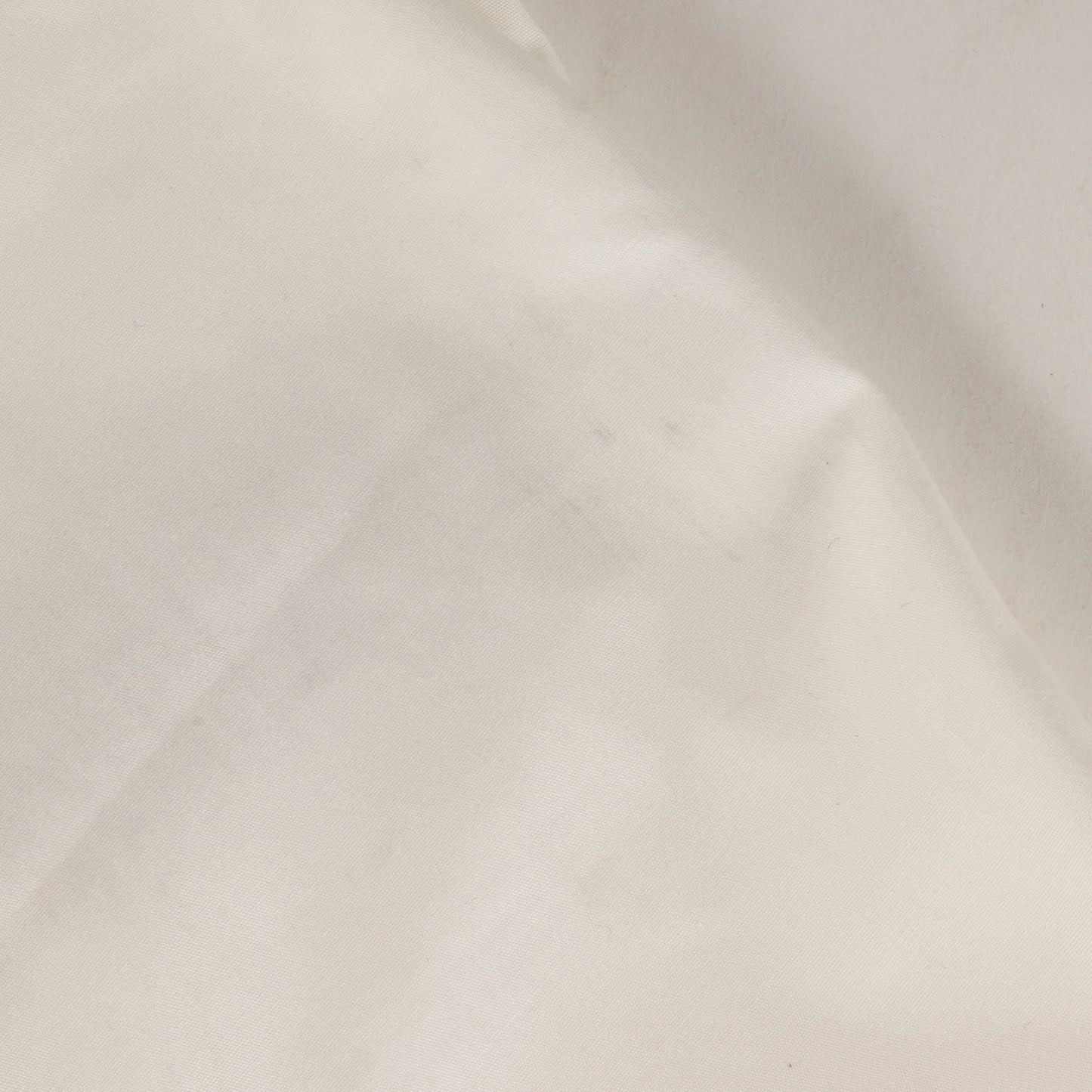 24AW メッセージロゴ ブロードクロスシャツシャツ(REPO / LS / CTPL. BROADCLOTH)