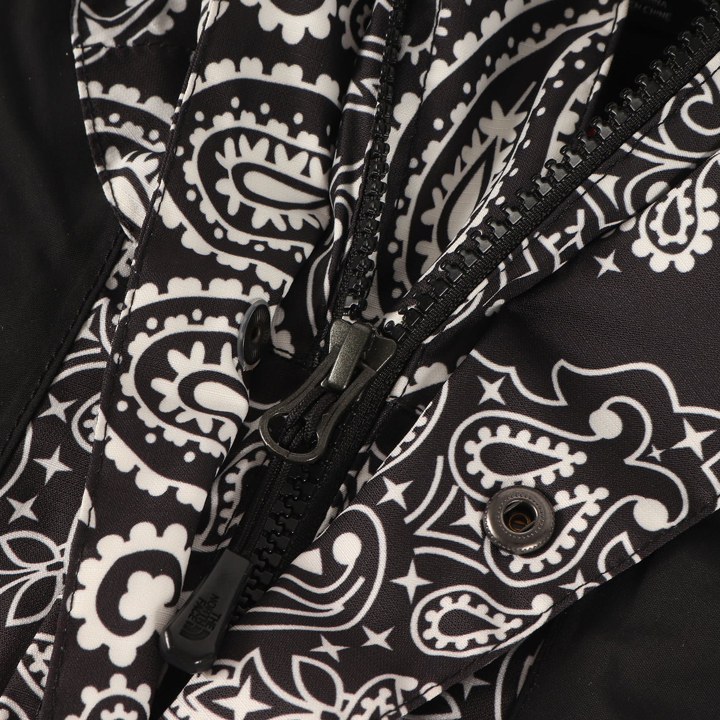 ×THE NORTH FACE バンダナ柄 マウンテンパーカー / ジャケット(Bandana Mountain Parka)