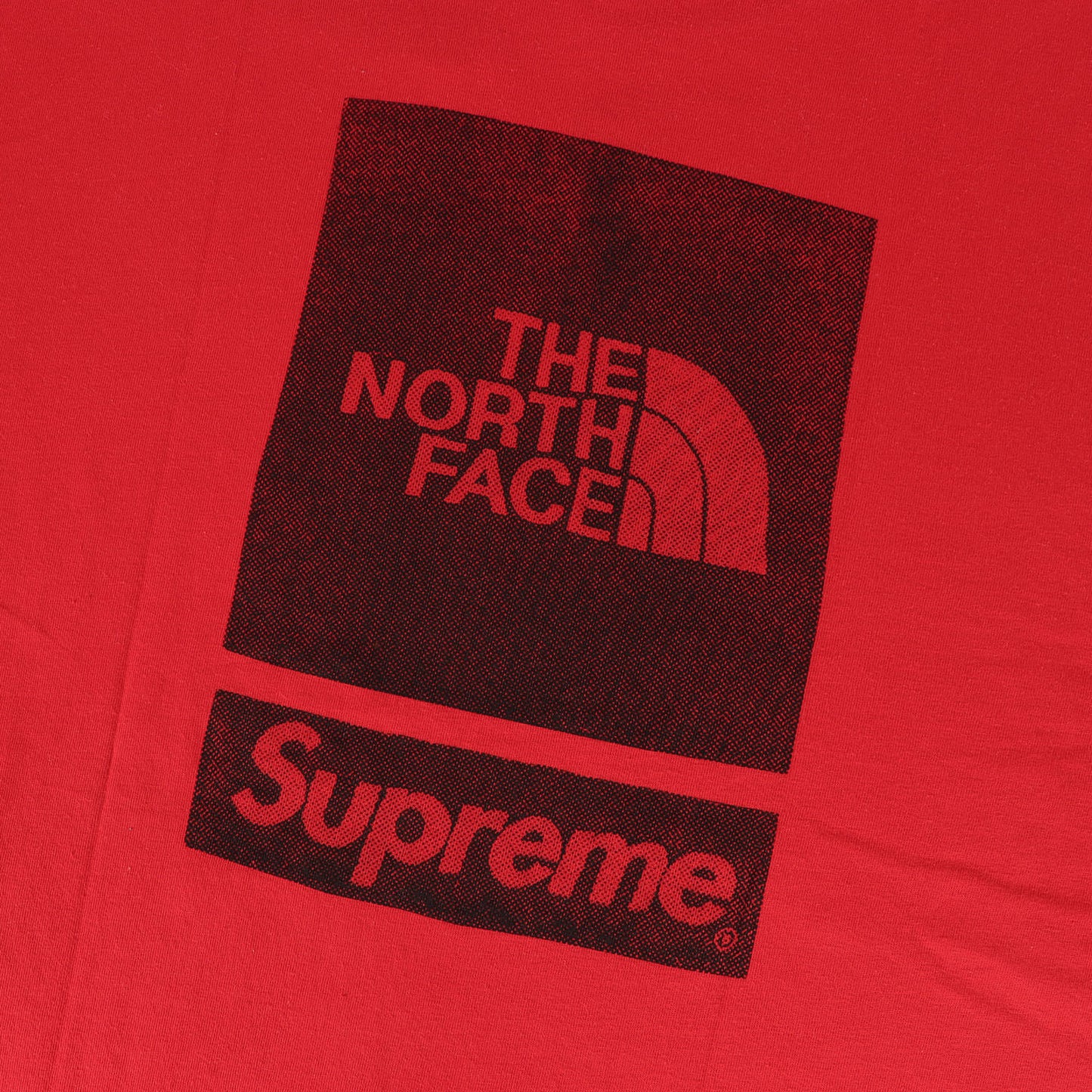24SS ×THE NORTH FACE ロゴプリント クルーネック Tシャツ(S/S Top)