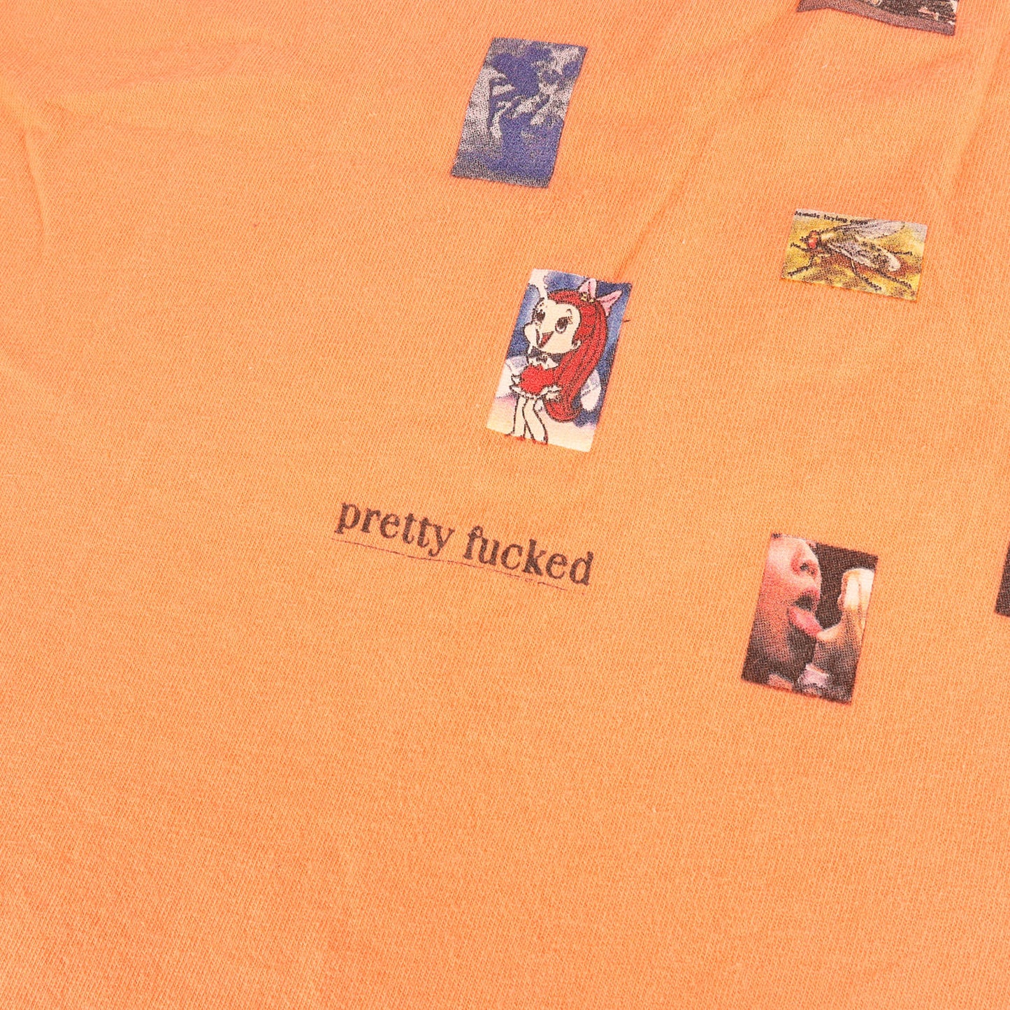 コラージュ グラフィック Tシャツ(Pretty Fucked Tee)