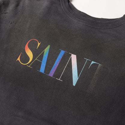 24AW ヴィンテージ加工 レインボーロゴ スウェット(RAINBOW SNT CREW SWT)