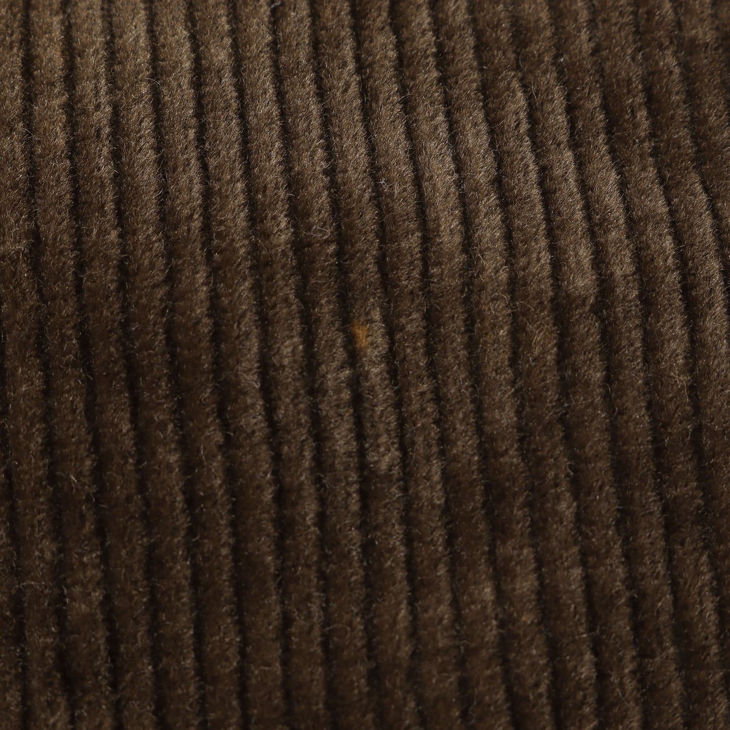 21AW 1タック ワイド ストレッチ コーデュロイパンツ(CORD. TUCK / C-PT)