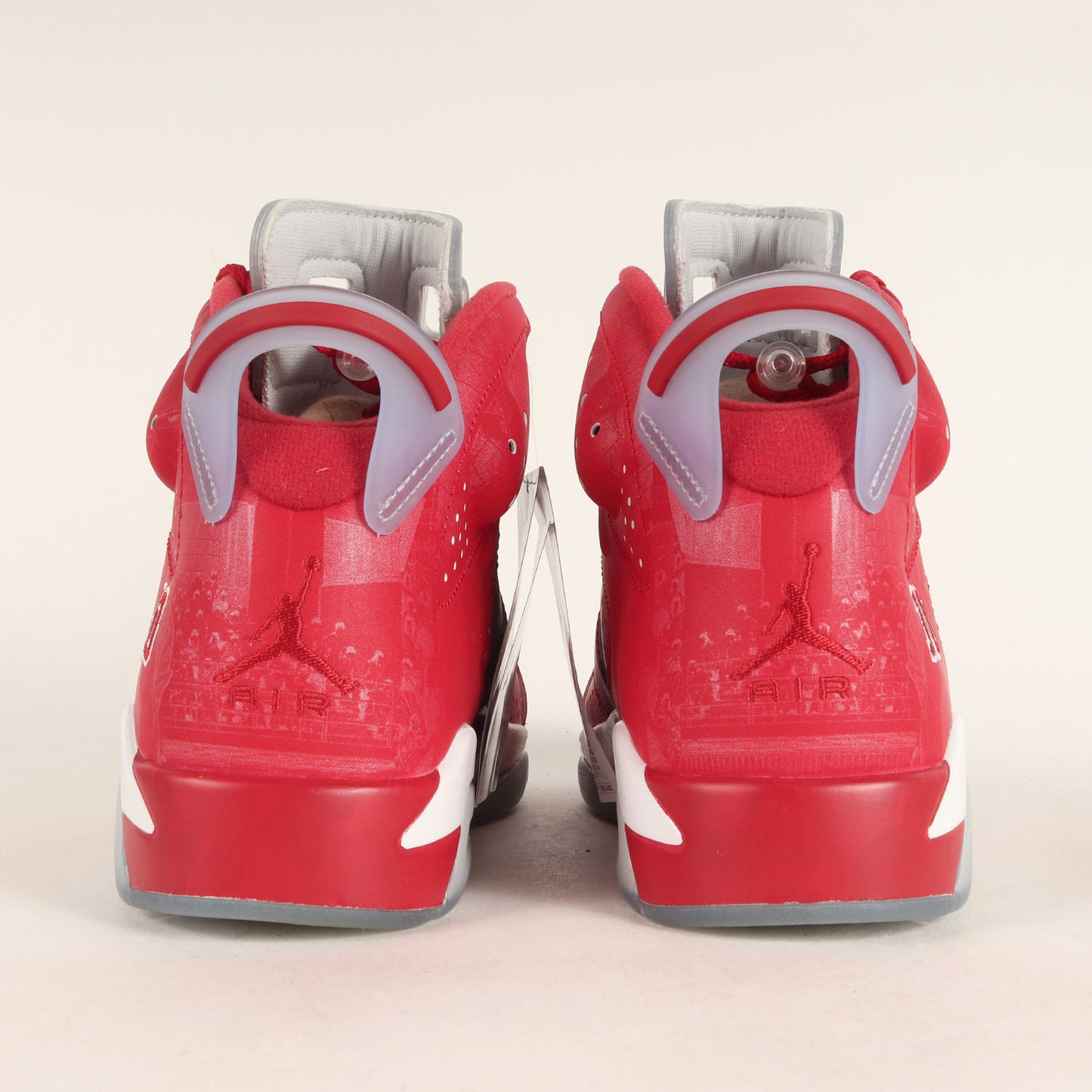 ×SLAM DUNK AIR JORDAN 6 RETRO (717302-600)