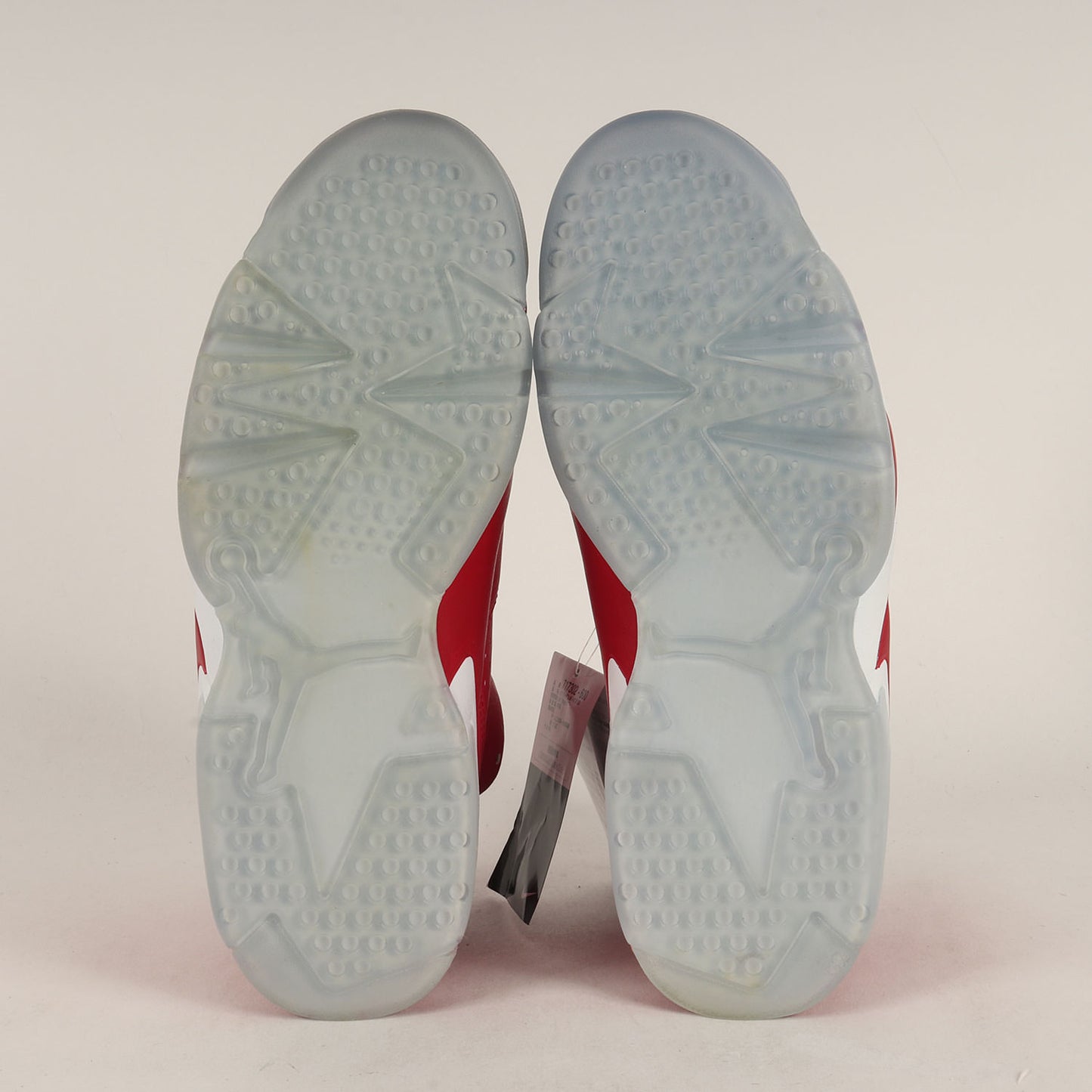 ×SLAM DUNK AIR JORDAN 6 RETRO (717302-600)