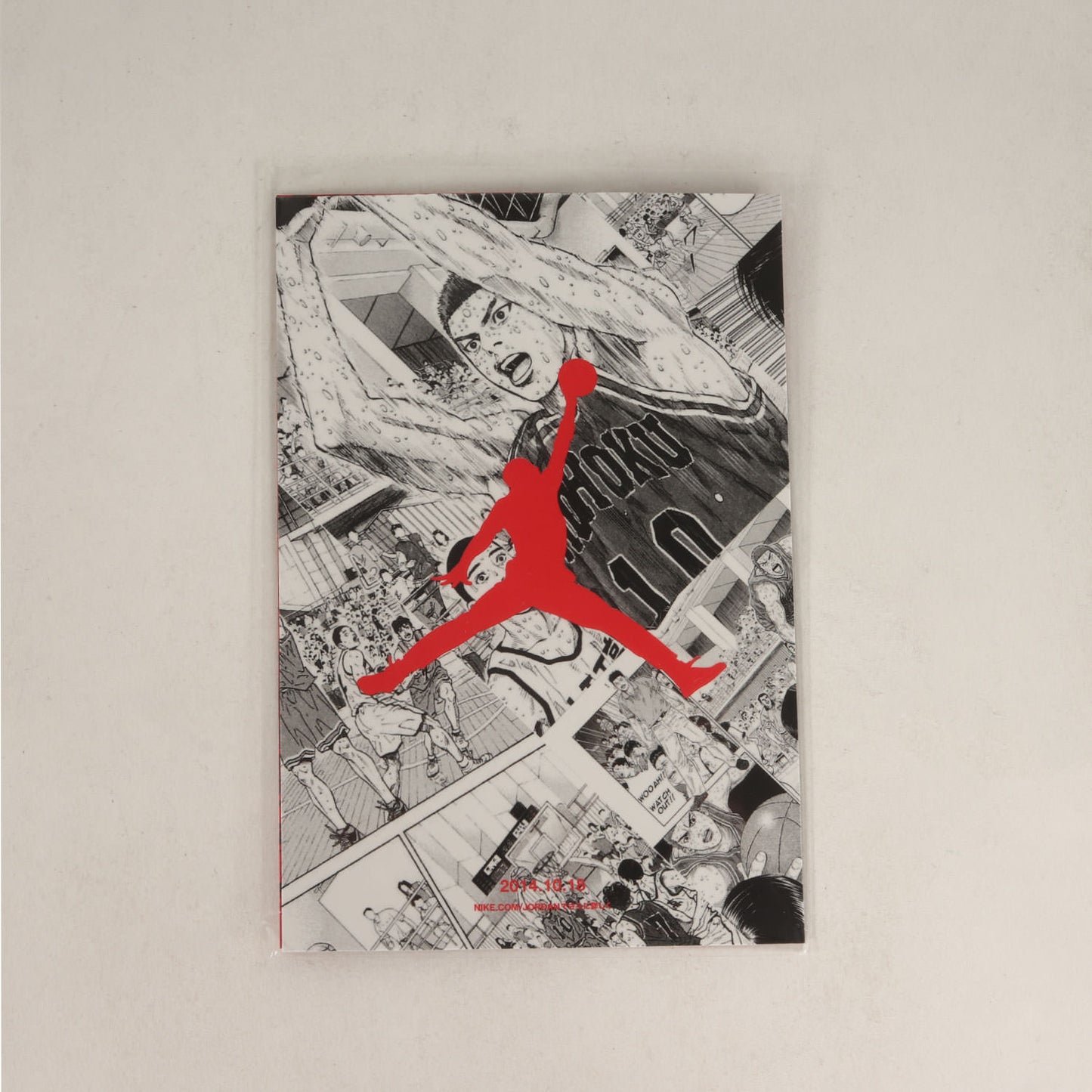 ×SLAM DUNK AIR JORDAN 6 RETRO (717302-600)