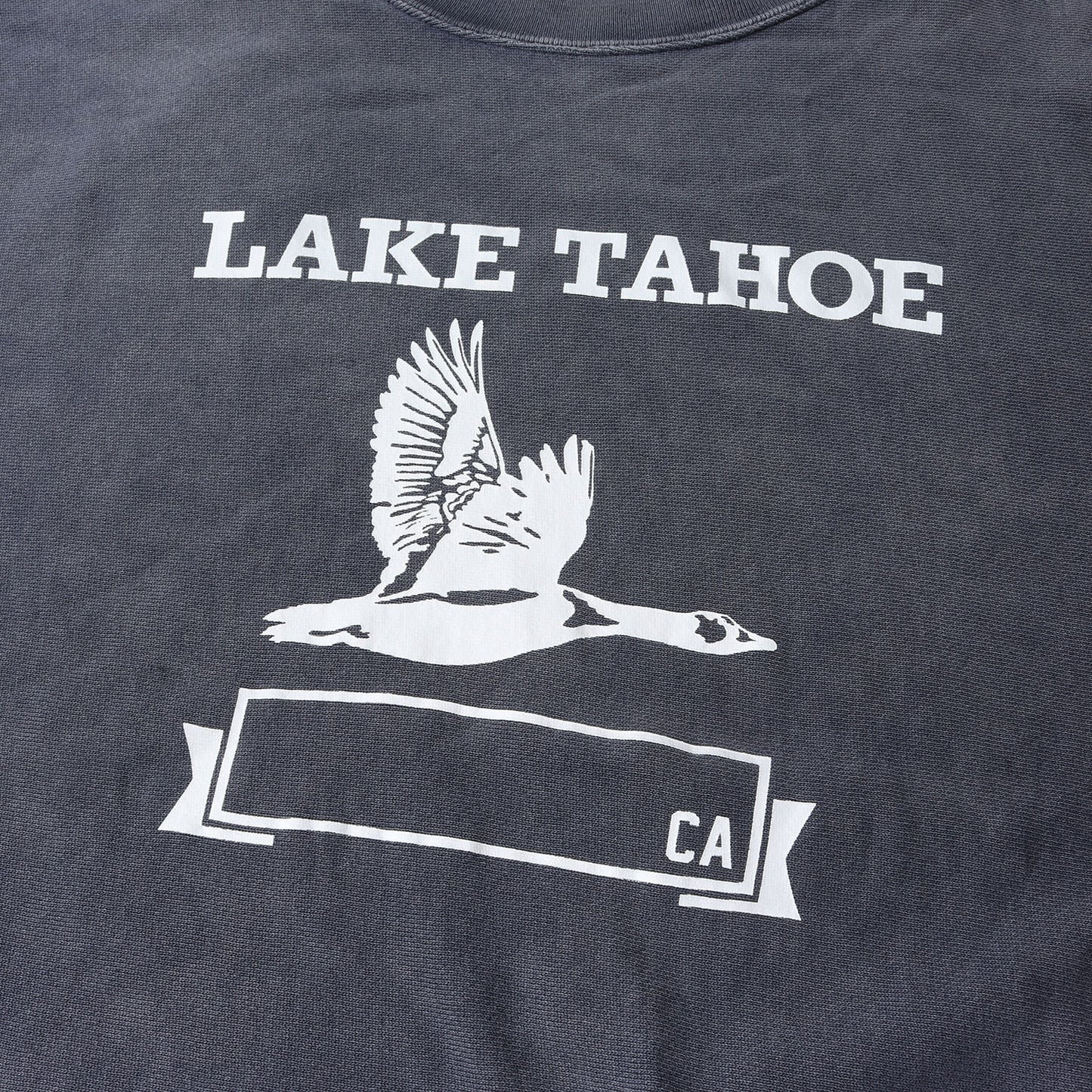 24SS ヴィンテージ加工 リバースウィーブ カレッジ スウェット (LAKE TAHOE)