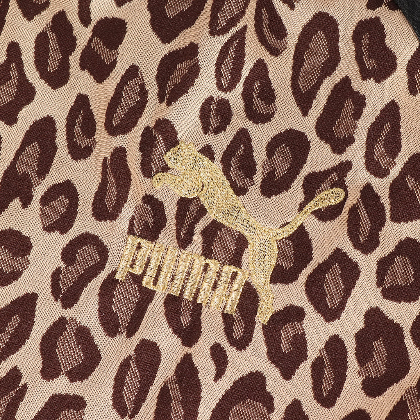 ×BEAMS レオパード柄 ジャージ トラックジャケット & ショーツ セットアップ