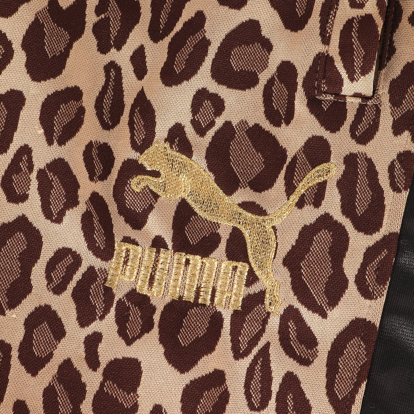 ×BEAMS レオパード柄 ジャージ トラックジャケット & ショーツ セットアップ