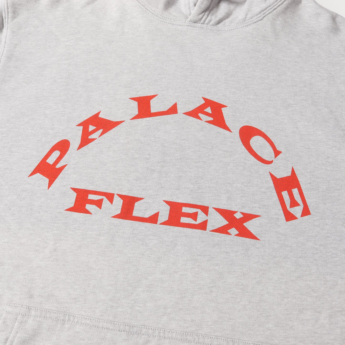 グラフィックプリント スウェットパーカー(P-FLEX HOOD)