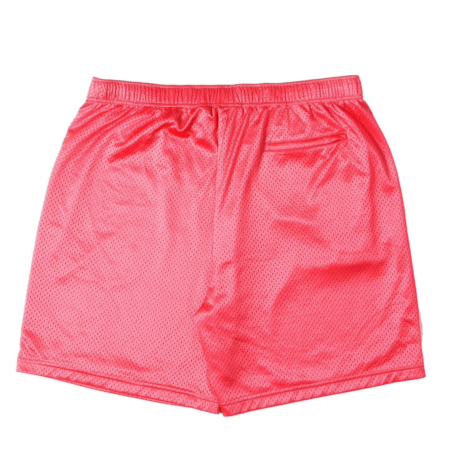 23SS スモールBOXロゴ バギー メッシュショーツ(Small Box Baggy Mesh Short)